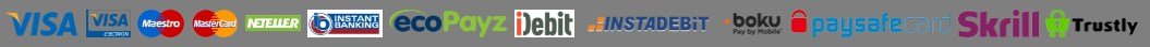 redspins payment methods