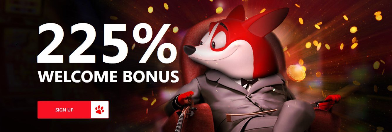 red dog casino bonus